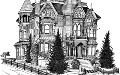 Einsteigerwissen „Perspektive“- 2