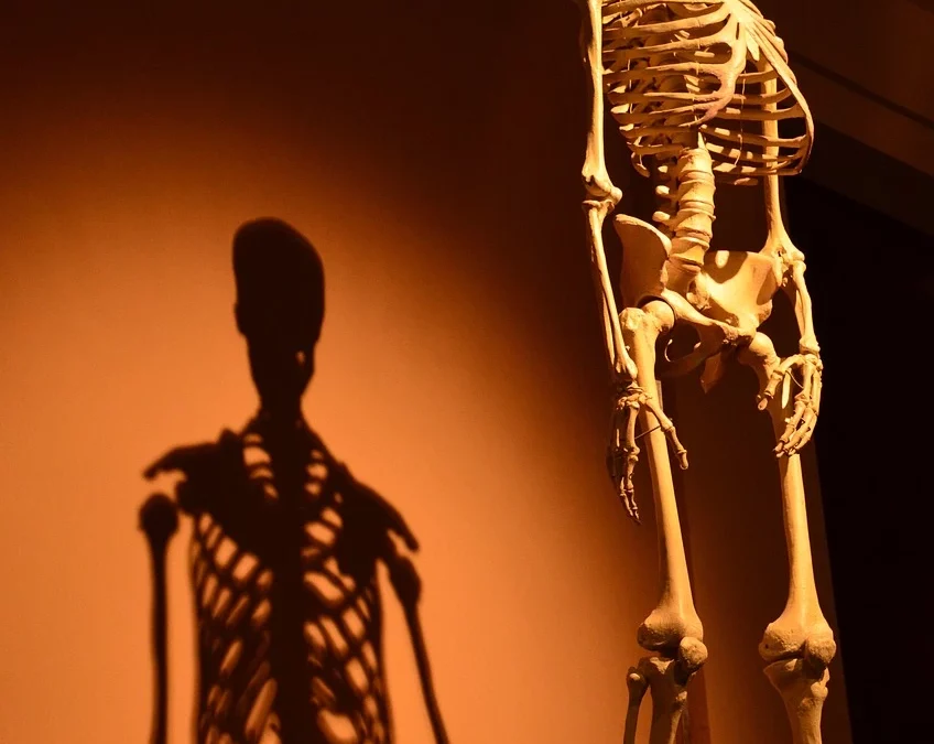 Einsteigerwissen „Licht und Schatten“- 3